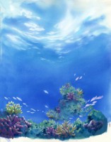 /album/%e3%83%95%e3%82%a9%e3%83%88%e3%82%ae%e3%83%a3%e3%83%a9%e3%83%aa%e3%83%bc%3a-%e3%82%b3%e3%83%ac%e3%82%af%e3%82%b7%e3%83%a7%e3%83%b31/%e3%81%86%e3%81%bf%e3%82%82%e3%81%ae%e3%81%8c%e3%81%9f%e3%82%8a%e3%80%80dvd%e2%91%a0%e3%80%80%e6%b5%b72-1-jpg/